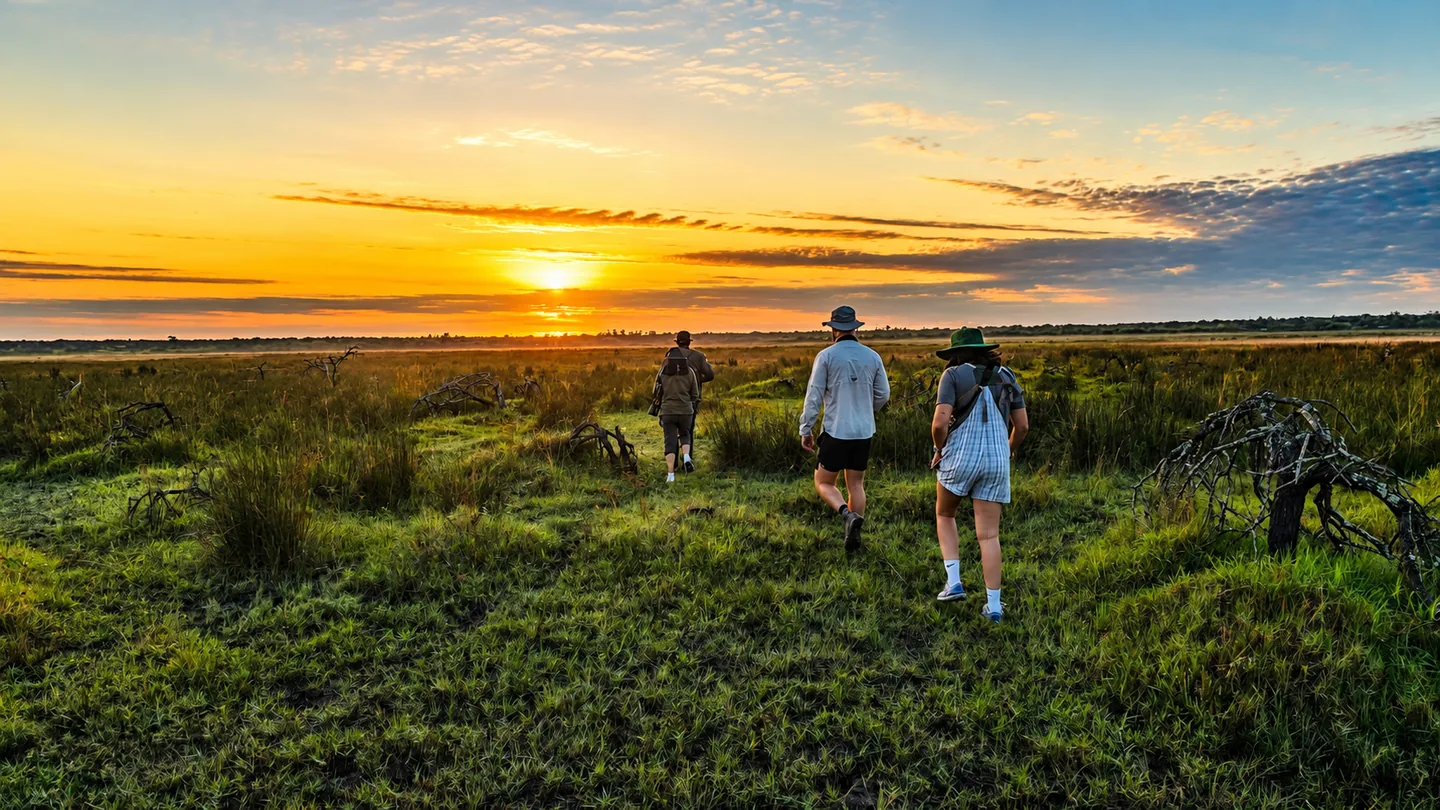 Birdwatchers using binoculars from a wetland boardwalk
