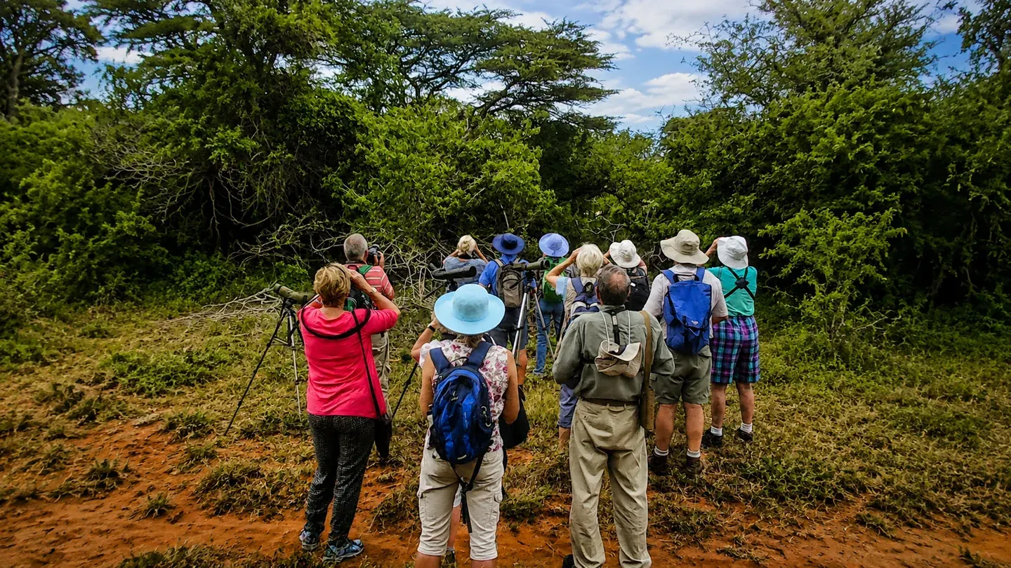 Birdwatchers beneath a lush green forest canopy