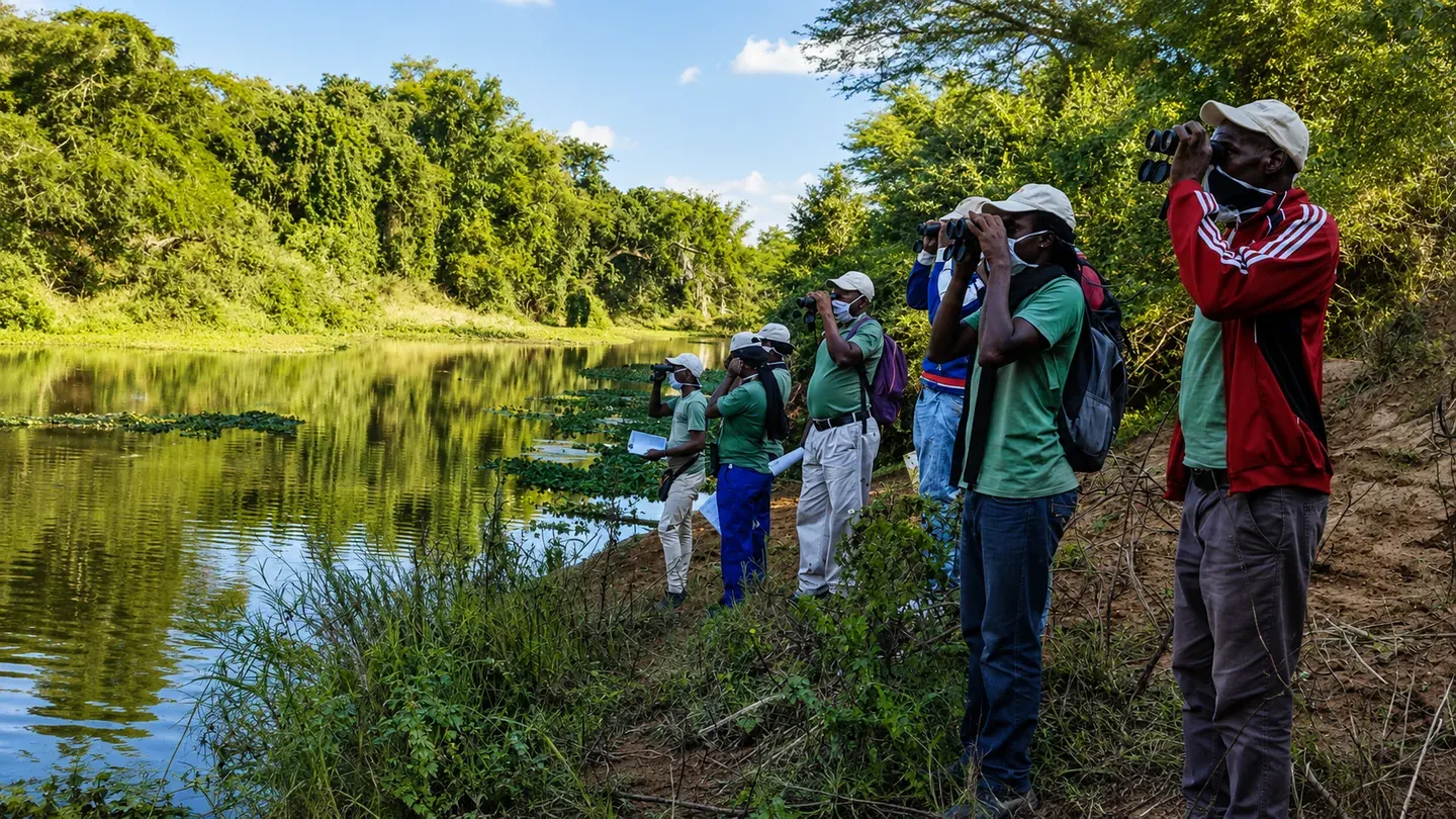 Birdwatchers with binoculars beside a river